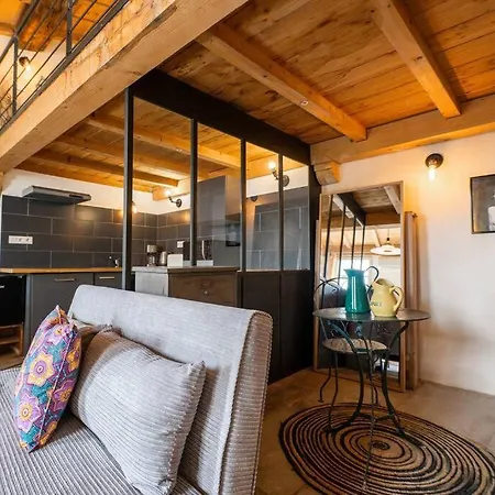 Le Bacchus, Grand T2, Centre Historique Apartment *